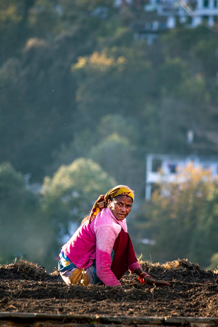 A South Asian woman working in a field during the day, surrounded by nature.