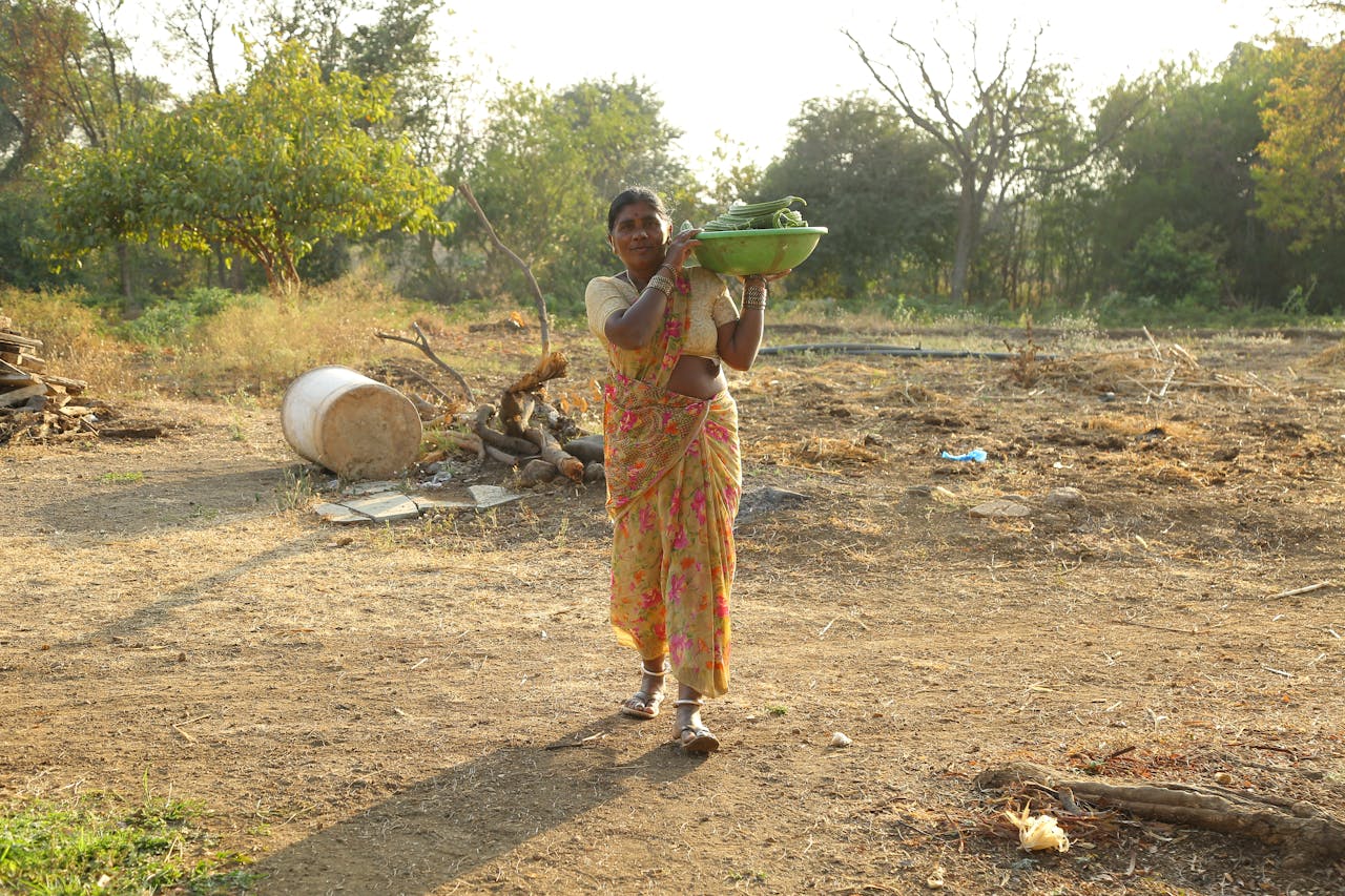 An Indian woman farmer carrying harvested produce in a rural field.